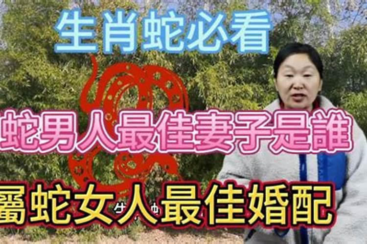 属蛇男孩与属什么的女孩结婚