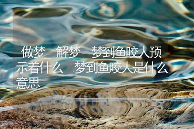 做梦梦见鱼变人是啥意思周公解梦