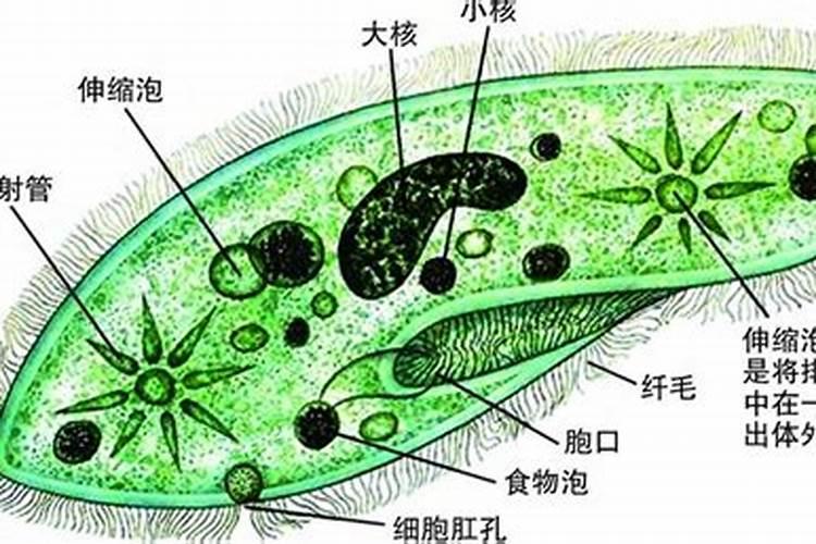 大运流年形成未戌辰丑土局