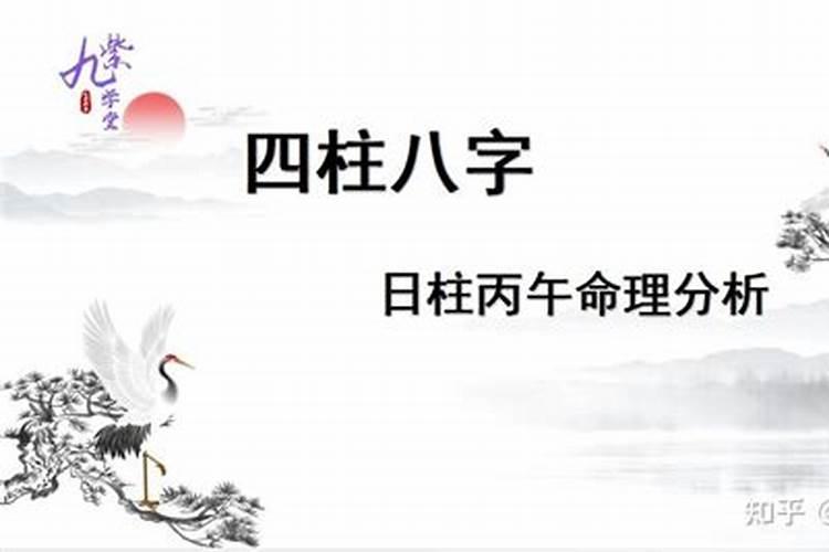 丙午日是童子命吗