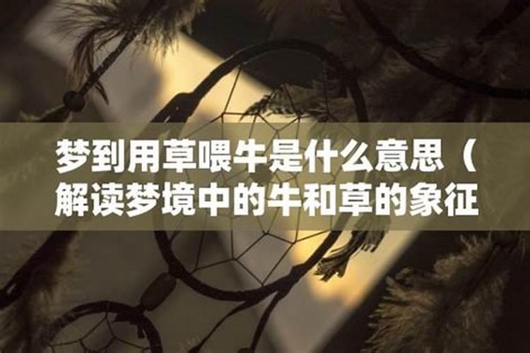 梦到牛代表什么