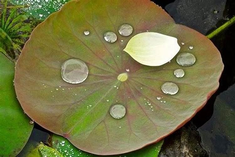 如何用风水罗盘测房屋风水位置