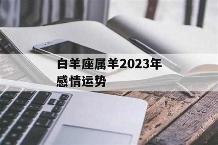 属羊2023年感情运势怎么样