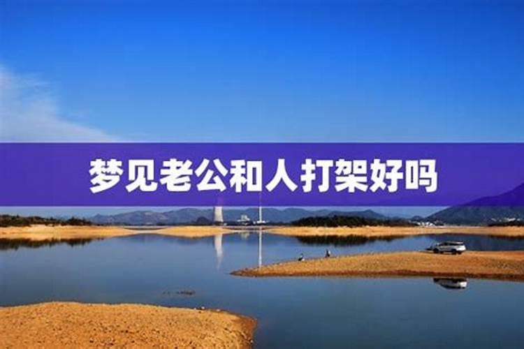 2024年属兔犯太岁如何化解