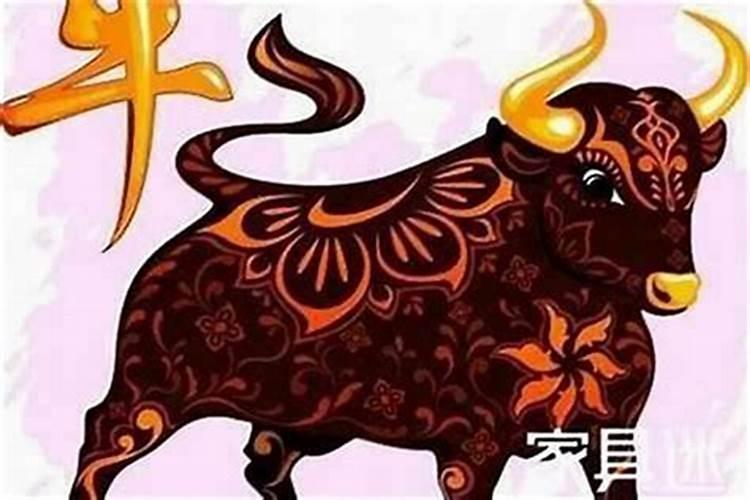 属相属牛的今年多大年龄