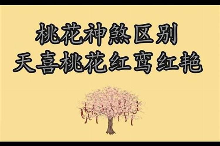 合婚八字相害什么意思