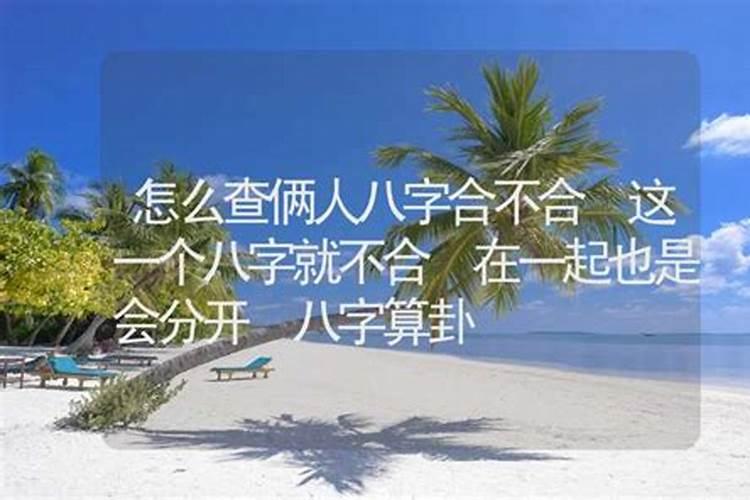 属兔的人性格和优缺点