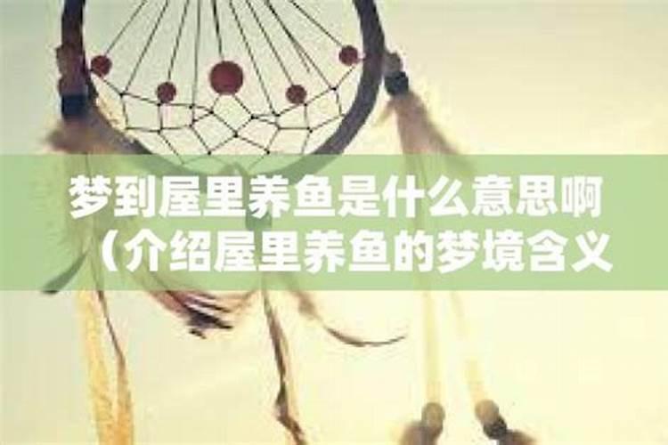 梦到别人养鱼是什么兆头