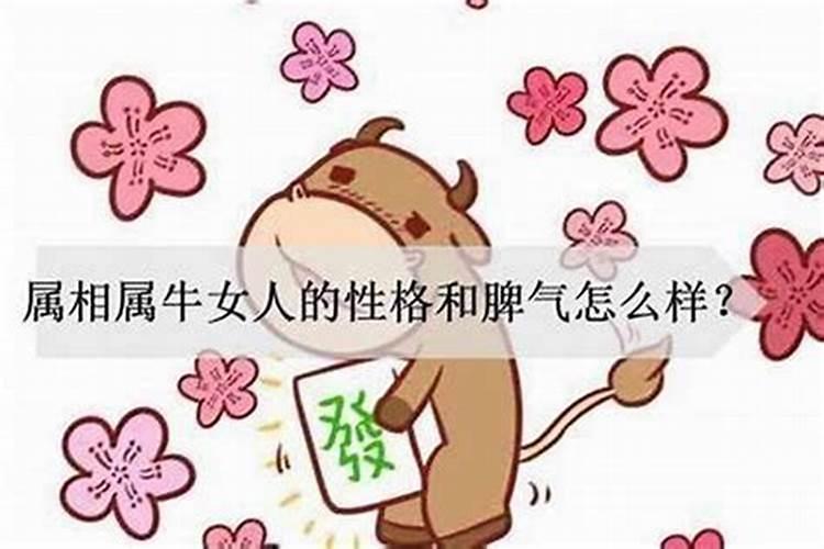 女人最好的三种生肖是哪三个