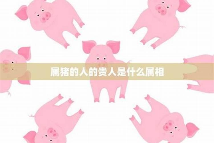 属猪的人贵人属相是什么