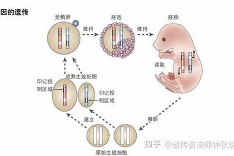 2020年犯太岁的五大生肖需要注意什么