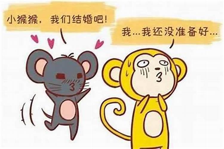 男猴与什么属相婚配好一点