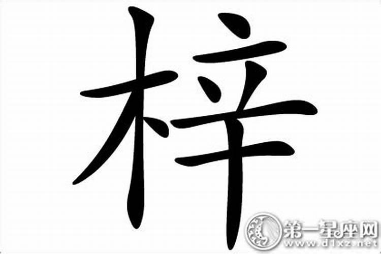 梓这个字在五行属什么