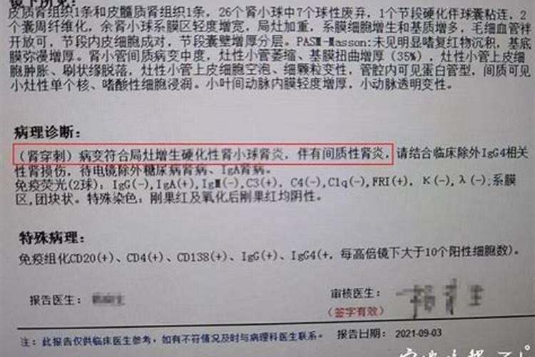 比属兔的小6岁属什么