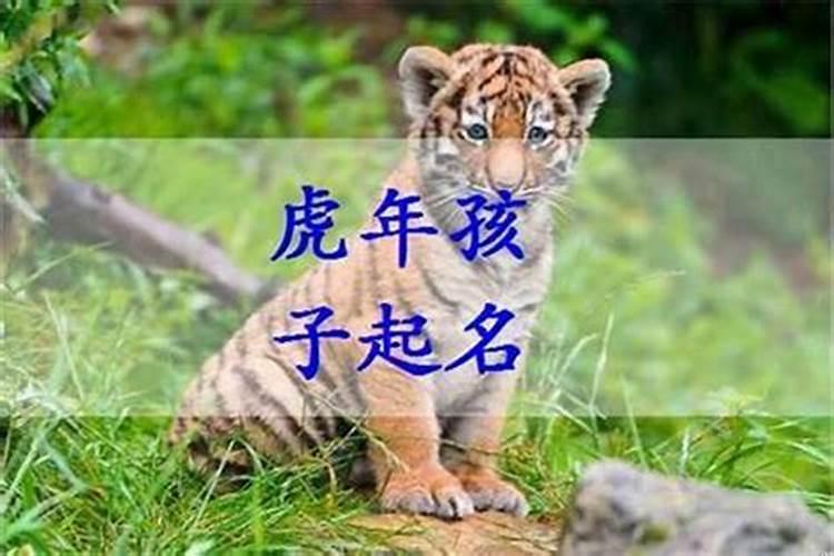 属虎的名字里带什么好