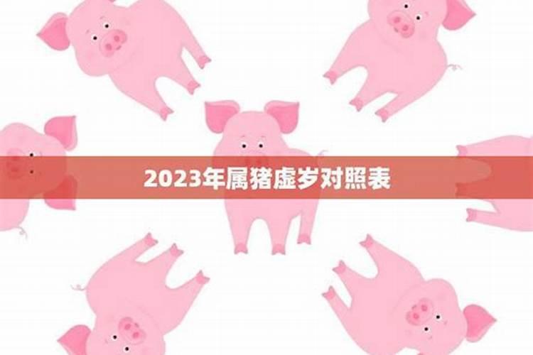 2019年出生属猪命运