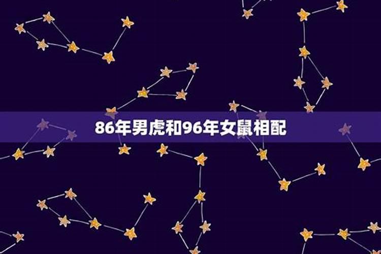 96年鼠跟86年虎合不合财