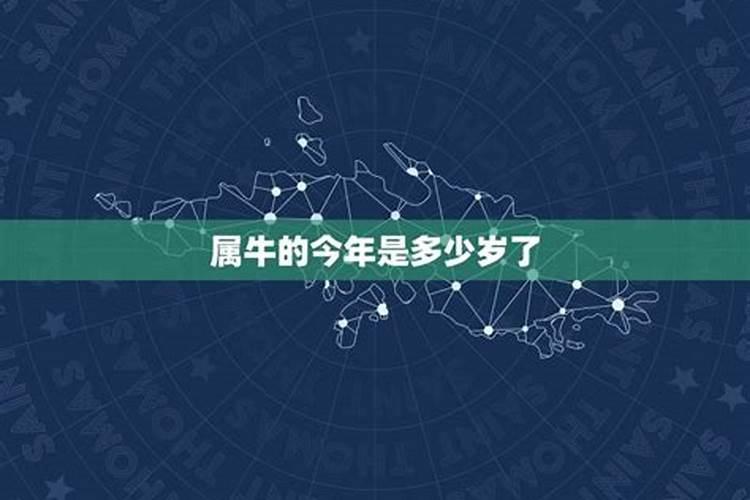 1997年出生属牛今年多大岁数