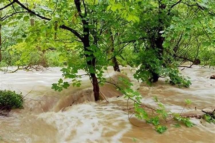 梦见突然涨大水自己在水中跑