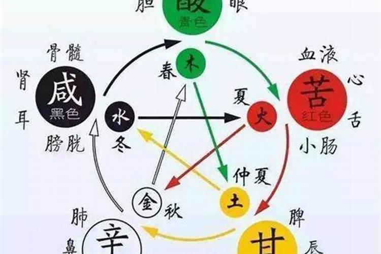 实属于五行属什么意思