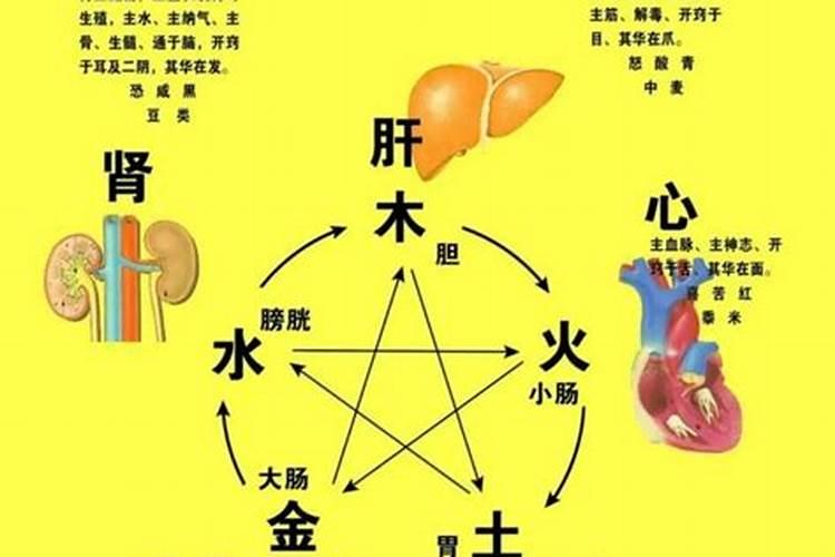 秋季对应的五行食物