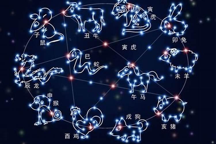 12生肖什么星座第一位