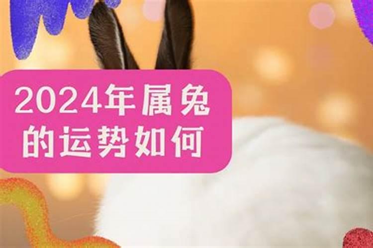 属鸡的女人2024年运程