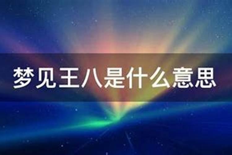 做梦梦到王八是什么意思周公解梦