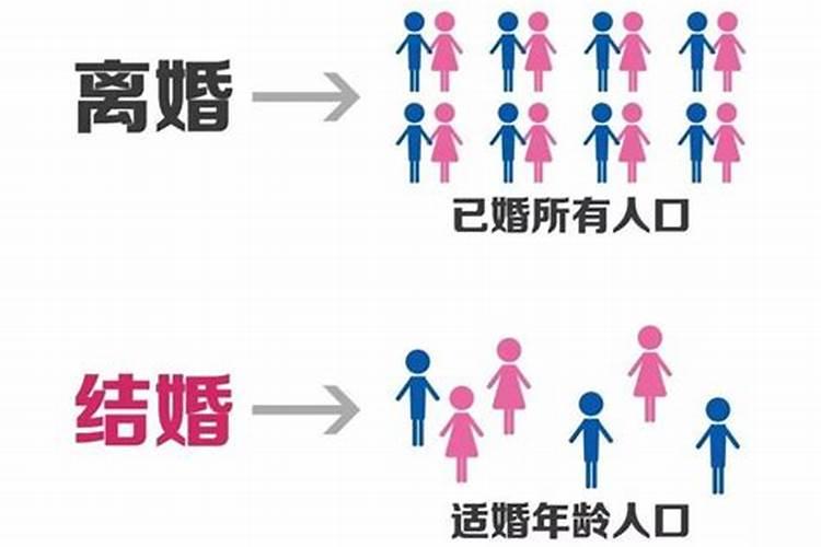 属兔人离婚率高吗