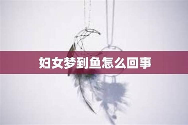 梦见水和鱼怎么回事啊