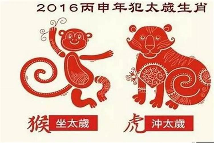 属猴的今年2020年命运怎么样