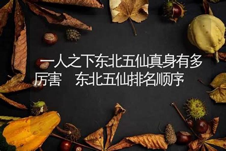 东北人算命请仙