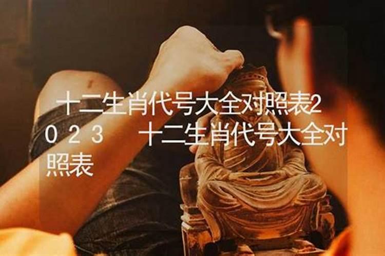 十二生肖的代号大全