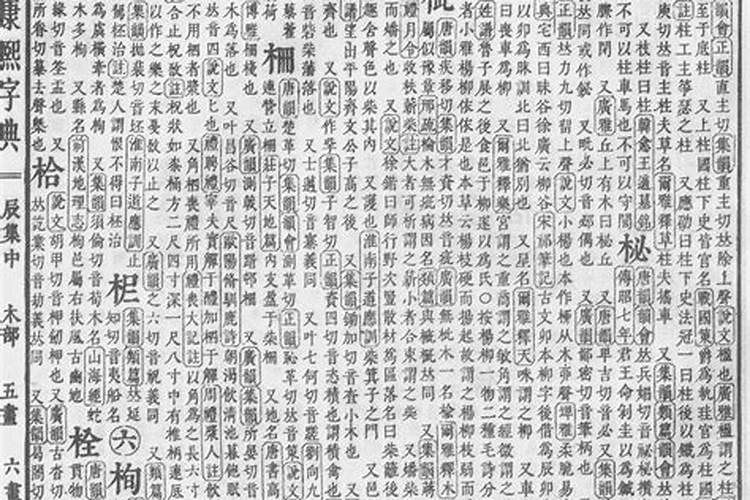 柳字五行属什么