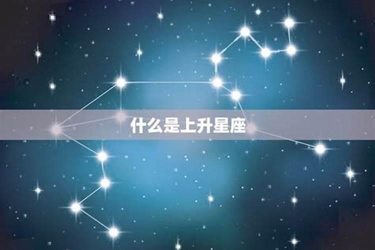 狮子敌对星座