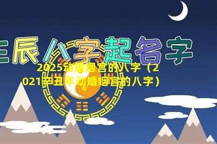 2022年动子女宫的八字