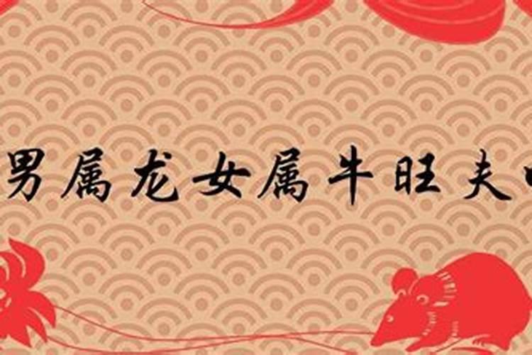 今年正月十五的月亮十几圆是什么