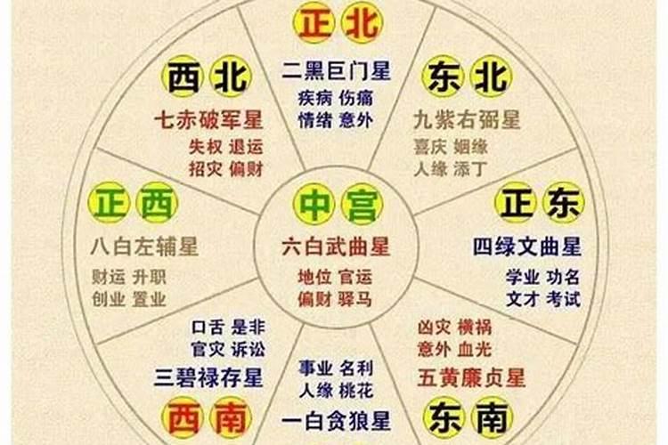 九星一白什么生肖