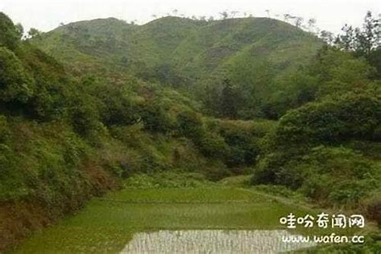 祖坟风水重要还是住房风水重要