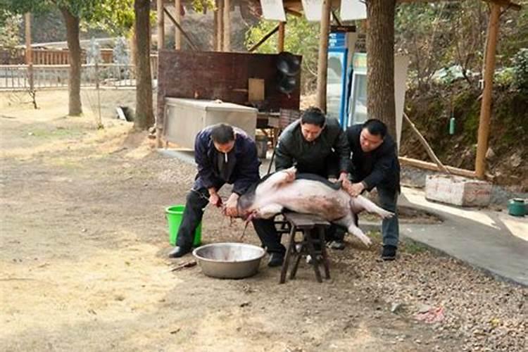 桃花最旺是哪个生肖呢