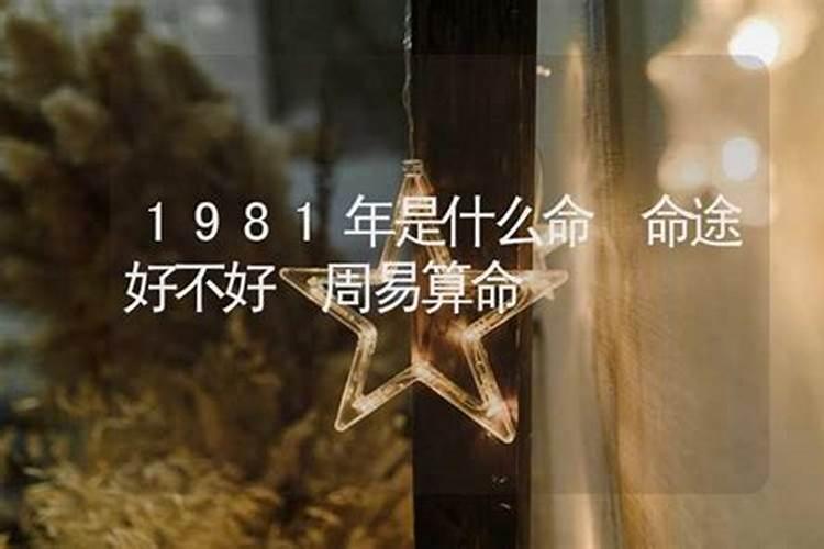 1981年是什么命年