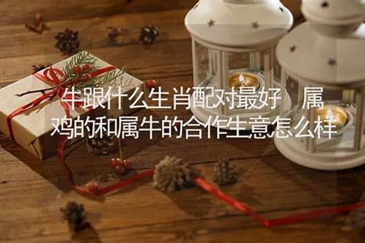 合伙生意生肖配对