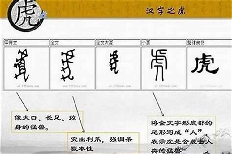 十二生肖的代表字是什么意思