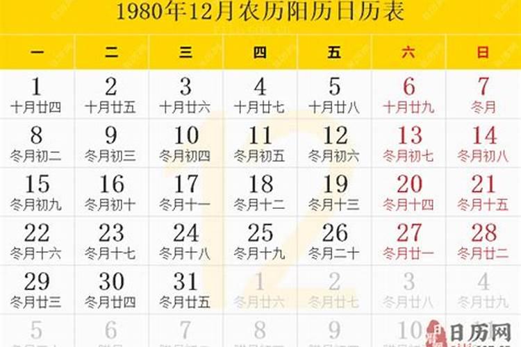 1980年2月29日出生的人命运