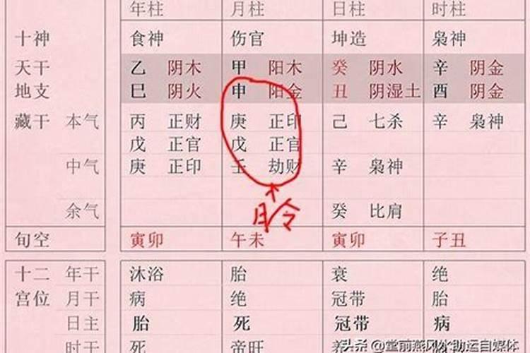 八字为啥以月令定格