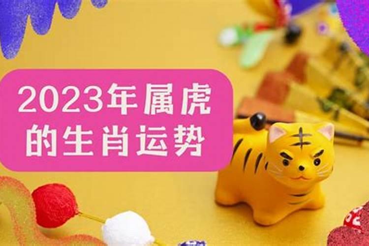 2023年属虎遇到的是正桃花吗