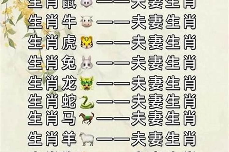 十二属相猜数字