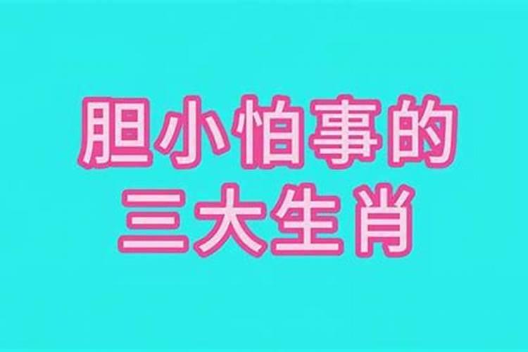 胆小怕事打一最佳准确生肖