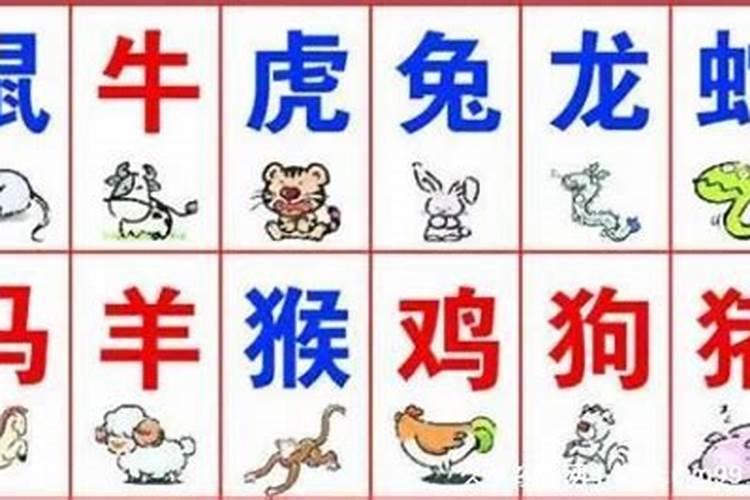 字肖有哪几个生肖