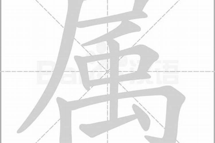 字是什么生肖数字